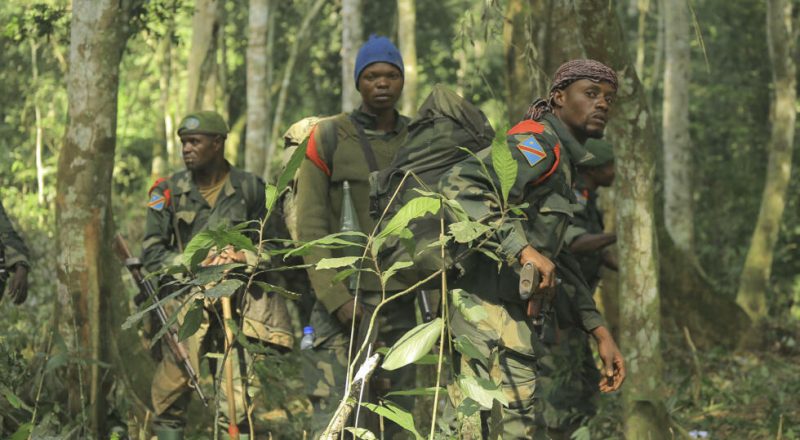 forces armées congolaises (FARDC)